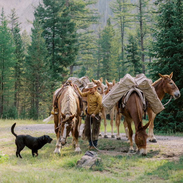 Chris Eyer mule packing in the forest